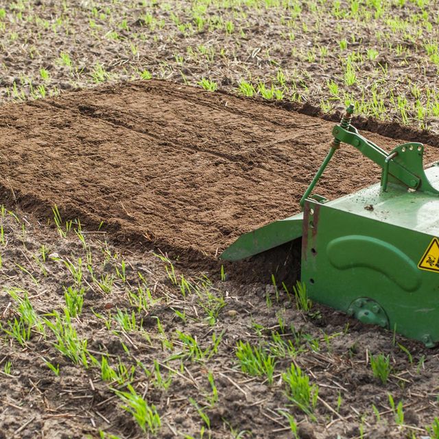 Gartenbau Lüneburg Uelzen Winsen