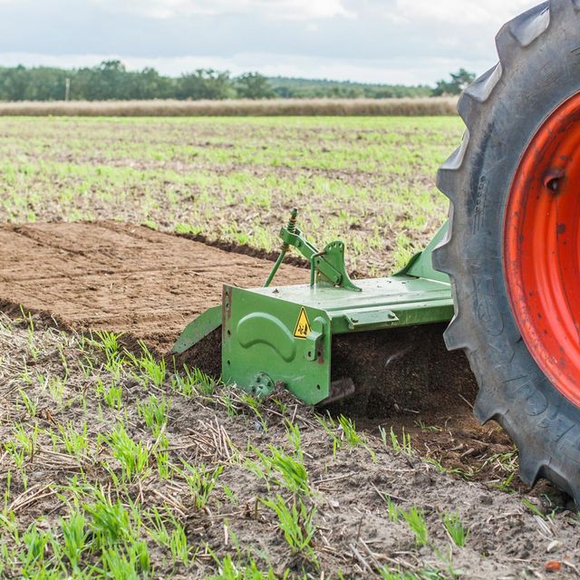 Gartenarbeiten Lüneburg Uelzen Winsen