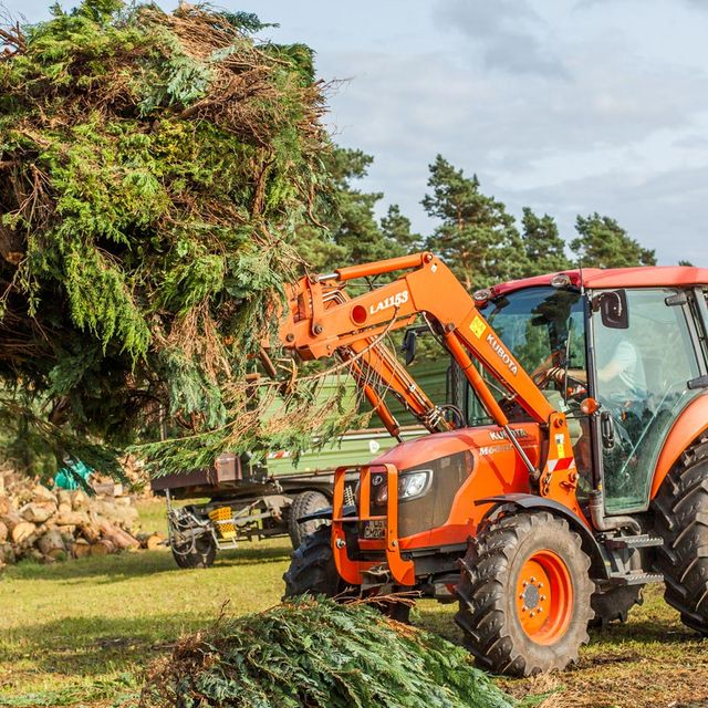 Buschwerkentsorgung Holz spalten Lüneburg, Winsen, Nordheide