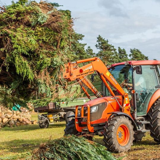 Buschwerkentsorgung Holz spalten Lüneburg, Winsen, Nordheide
